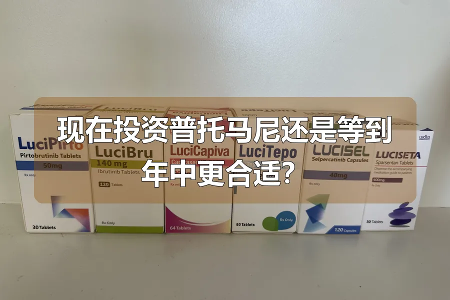 现在投资普托马尼还是等到年中更合适?